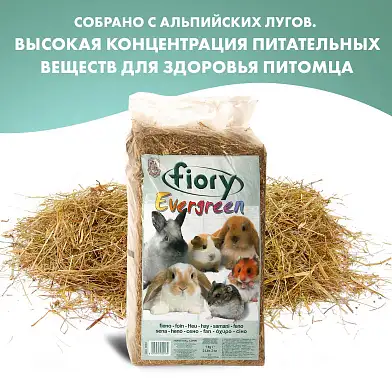 Fiory сено для грызунов (evergreen)